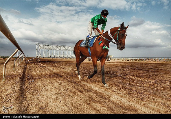 هفته سوم کورس اسبدوانی پائیزه کشور در آق‌قلا 