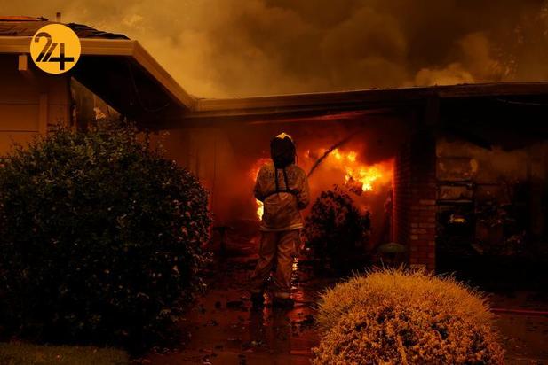 مزارع انگور کالیفرنیا زیر خاکستر 