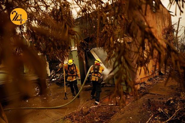 مزارع انگور کالیفرنیا زیر خاکستر 