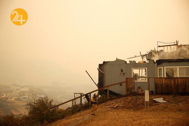 مزارع انگور کالیفرنیا زیر خاکستر 