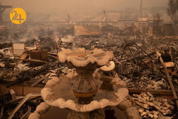 مزارع انگور کالیفرنیا زیر خاکستر 