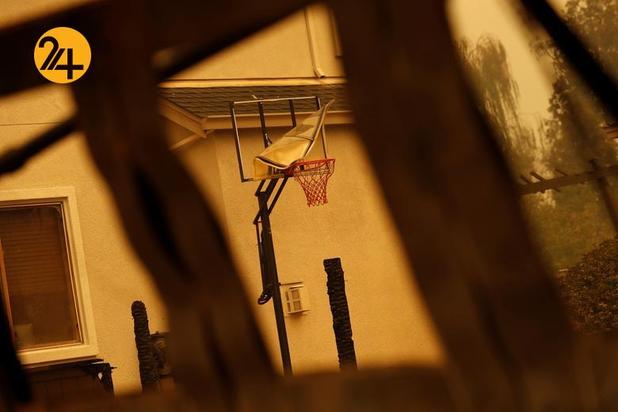 مزارع انگور کالیفرنیا زیر خاکستر 