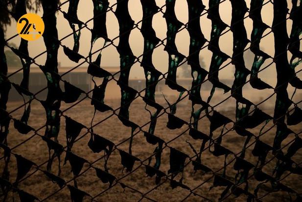 مزارع انگور کالیفرنیا زیر خاکستر 