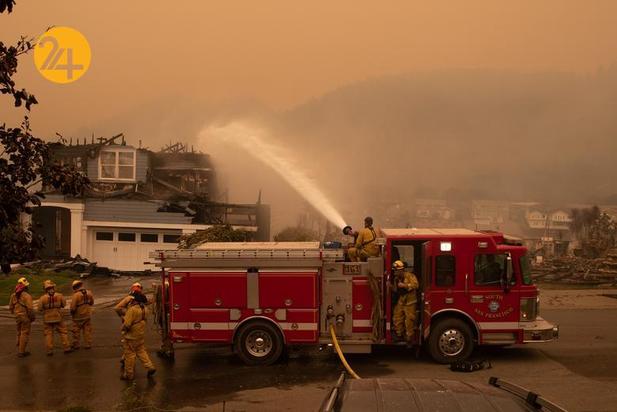 مزارع انگور کالیفرنیا زیر خاکستر 