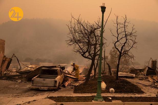 مزارع انگور کالیفرنیا زیر خاکستر 