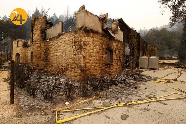 مزارع انگور کالیفرنیا زیر خاکستر 