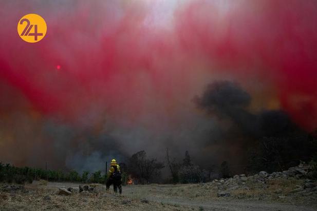 مزارع انگور کالیفرنیا زیر خاکستر 