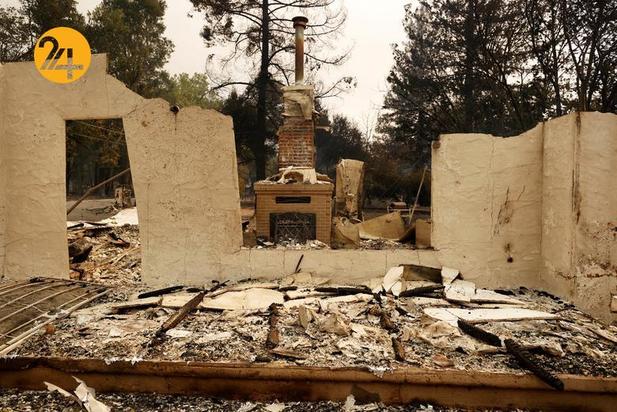 مزارع انگور کالیفرنیا زیر خاکستر 