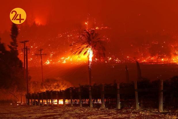 مزارع انگور کالیفرنیا زیر خاکستر 