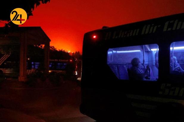 مزارع انگور کالیفرنیا زیر خاکستر 