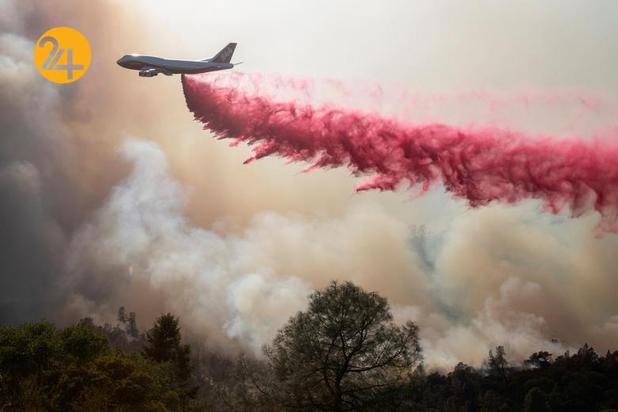 مزارع انگور کالیفرنیا زیر خاکستر 