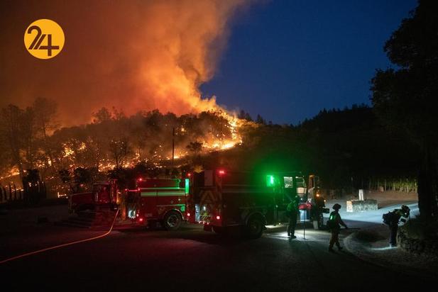 مزارع انگور کالیفرنیا زیر خاکستر 