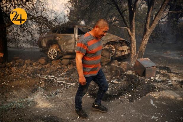 مزارع انگور کالیفرنیا زیر خاکستر 