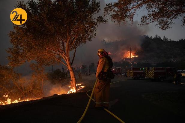 مزارع انگور کالیفرنیا زیر خاکستر 