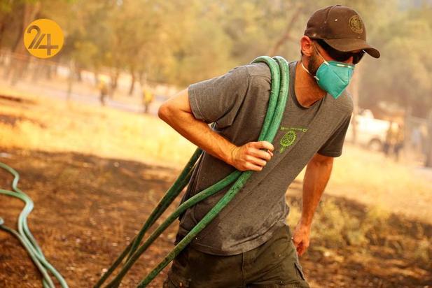 مزارع انگور کالیفرنیا زیر خاکستر 