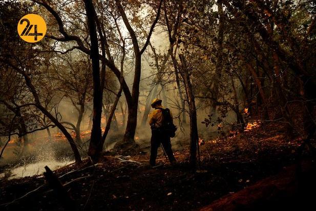 مزارع انگور کالیفرنیا زیر خاکستر 