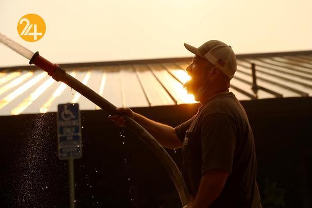 مزارع انگور کالیفرنیا زیر خاکستر 