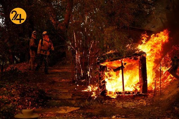 مزارع انگور کالیفرنیا زیر خاکستر 