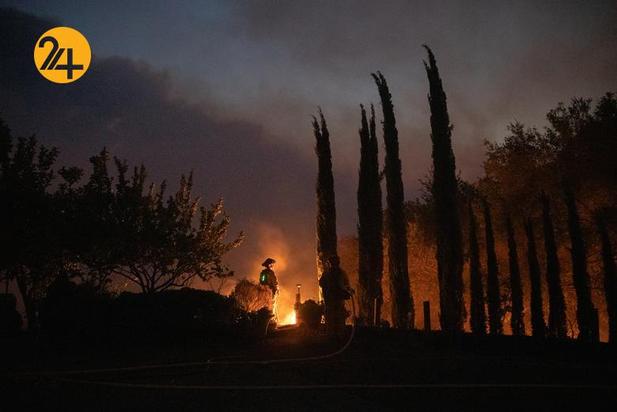 مزارع انگور کالیفرنیا زیر خاکستر 