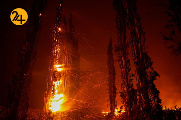 مزارع انگور کالیفرنیا زیر خاکستر 