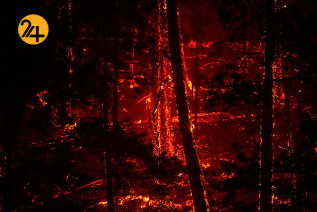 مزارع انگور کالیفرنیا زیر خاکستر 