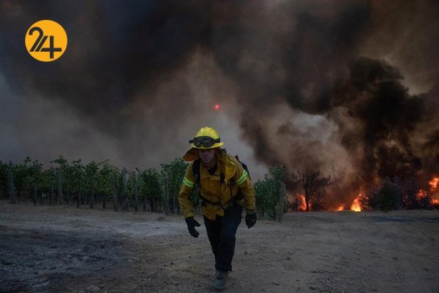 مزارع انگور کالیفرنیا زیر خاکستر 