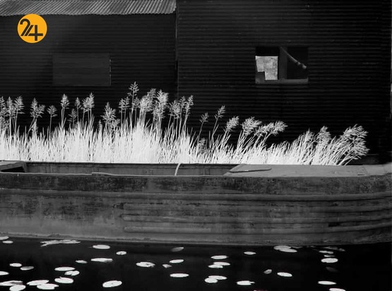 مسابقه عکاسی باغ