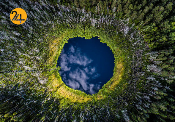 بهترین عکاسان حیات وحش 2019