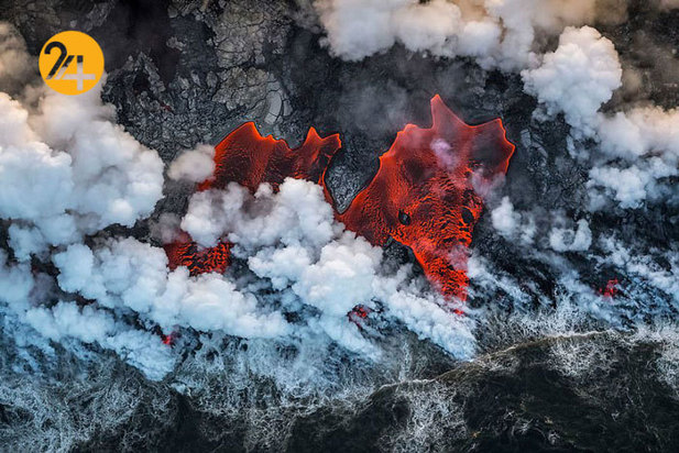 بهترین عکاسان حیات وحش 2019