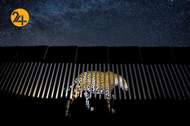 بهترین عکاسان حیات وحش 2019