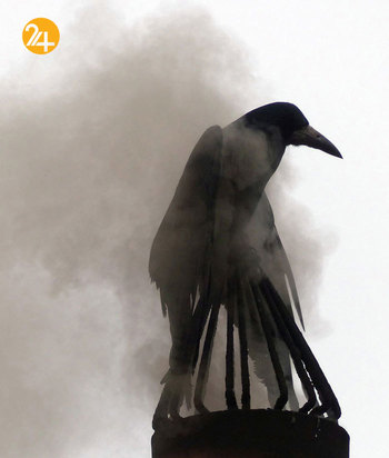 جالب‌ترین تصاویر از زندگی حیوانات