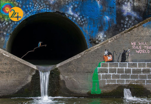 جالب‌ترین تصاویر از زندگی حیوانات