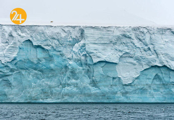 جالب‌ترین تصاویر از زندگی حیوانات