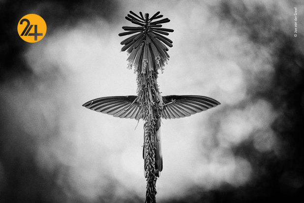 جالب‌ترین تصاویر از زندگی حیوانات