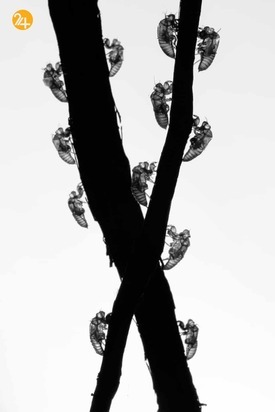 روایت تصویری رویداد24 از هفته‌ای که گذشت