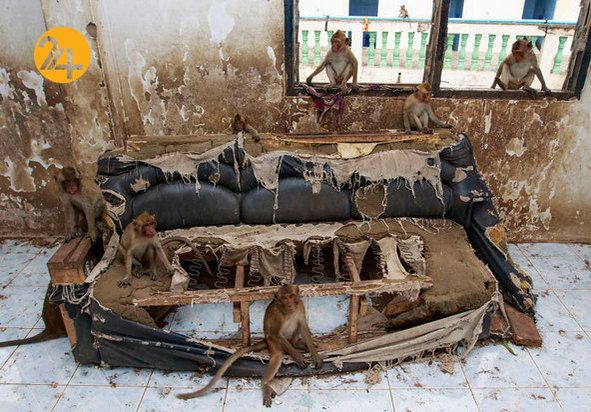 روایت تصویری رویداد24 از هفته‌ای که گذشت