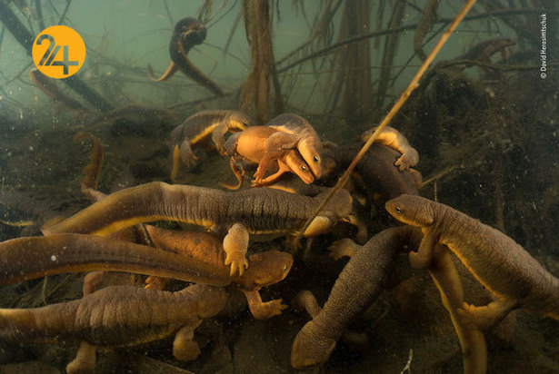 روایت تصویری رویداد24 از هفته‌ای که گذشت