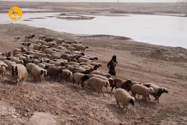 تاثیر تغییر آب و هوا بر کره زمین