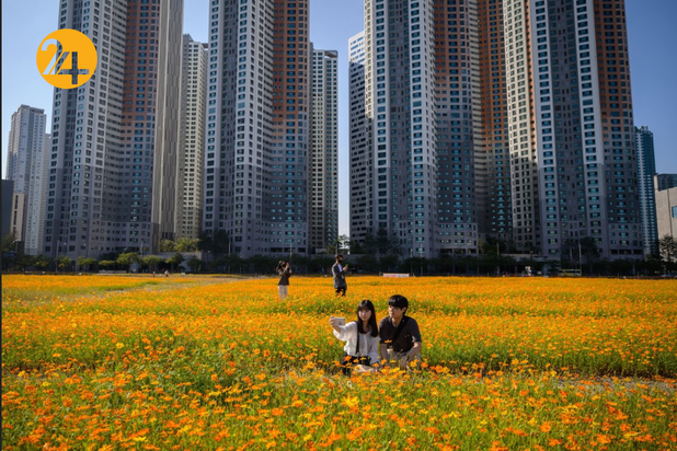 زندگی روزمره با ویروس کرونا