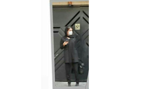 محسن افشانی