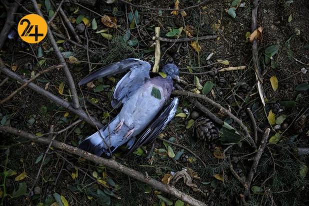 آتش بس در قره باغ