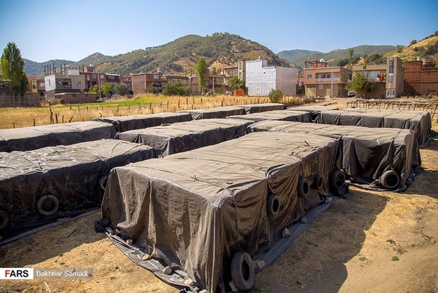 مزارع توتون در ایران