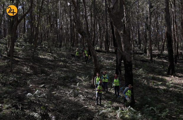 کوالاها و آیده‌ای خالی از امید
