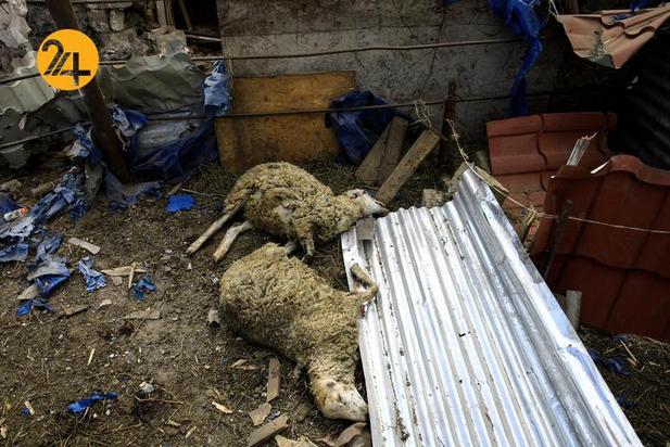 تصاویر غمبار از جنگ ارمنستان و آذربایجان