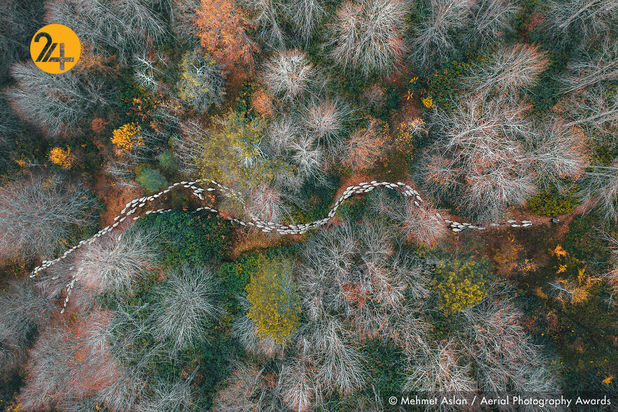 عکاسی هوایی