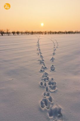 مسابقه عکاسی آب و هوا