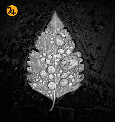 مناظر بریتانیا در قاب دوربین یک عکاس