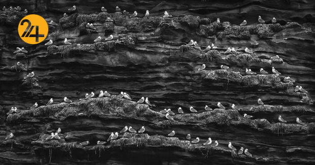 مناظر بریتانیا در قاب دوربین یک عکاس