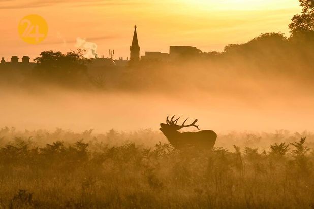 مناظر بریتانیا در قاب دوربین یک عکاس