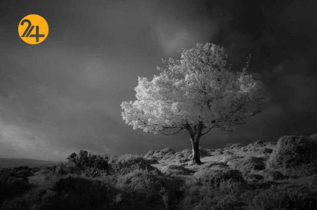 مناظر بریتانیا در قاب دوربین یک عکاس